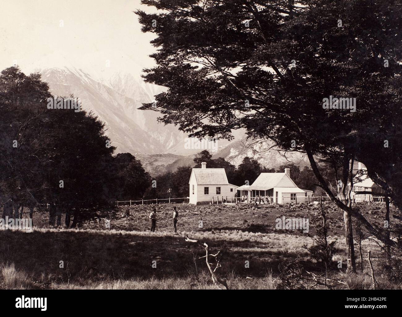 Trelissick Station, Castle Hill, West Coast Road, Burton Brothers studio, photography studio, early 1880s, Dunedin, black-and-white photography Stock Photo