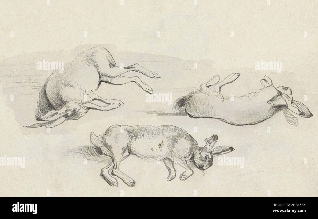 One of the hares has a visible gunshot wound in the abdomen. Sheet 17 recto from a sketchbook with 38 sheets, Three dead hares., Johannes Tavenraat, 1843 - 1844 Stock Photo
