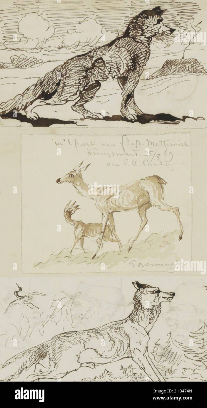 On the back of the lower sketch some men's heads. Presumably Tavenraat sent these studies to Canta. Sheet 49 verso from a sketchbook and album with 59 sheets, Wolves and two roe deer., Johannes Antonius Canta, 1869 Stock Photo