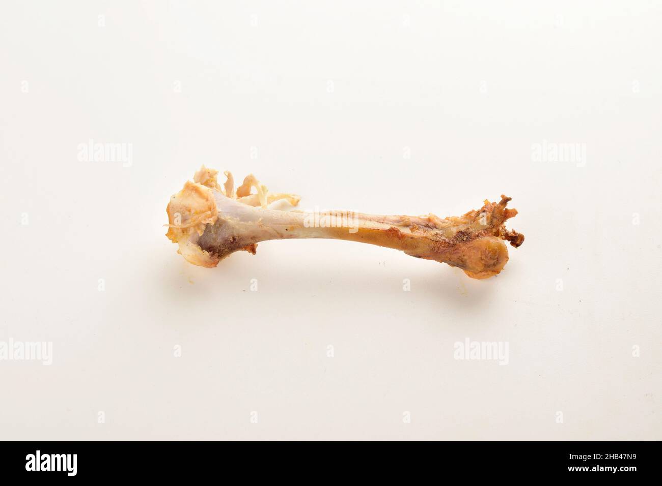 Chicken Leg bone on White Background Stock Photo Alamy