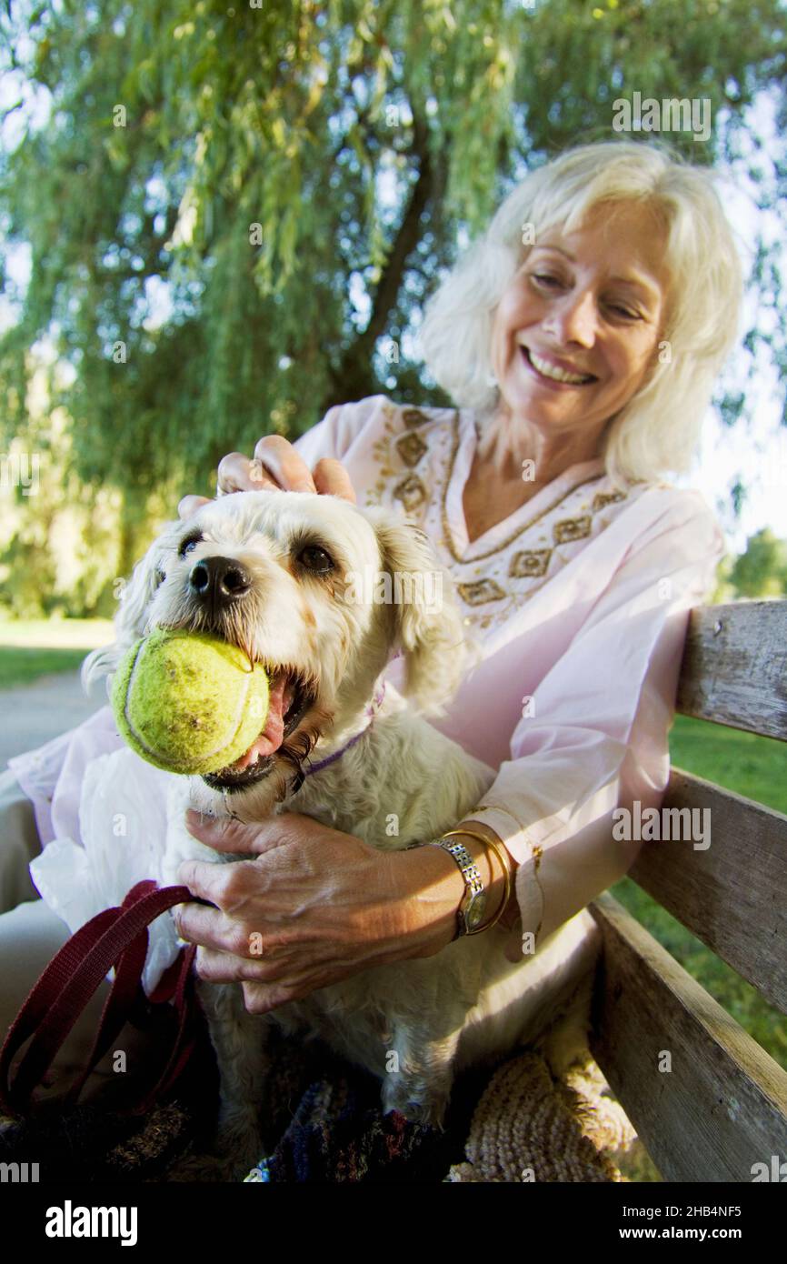 Senior woman with her elderly Cockapoo dog Stock Photo
