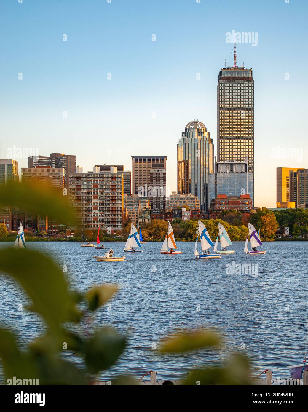 Sailing practice on the Charles River in front of the Boston Skyline taken in front of MIT from the Cambridge side of the river Stock Photo