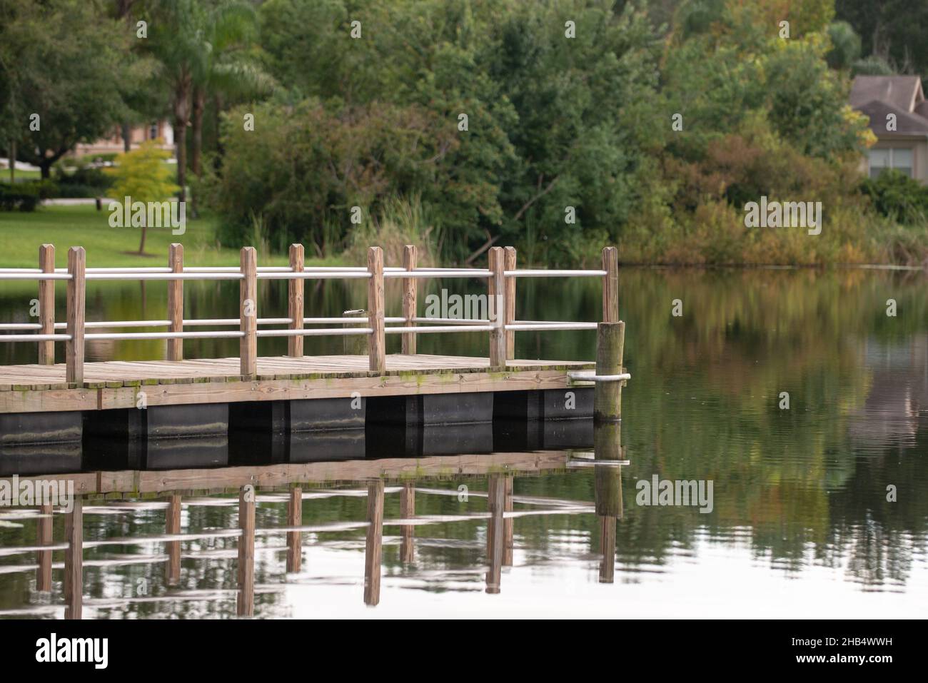 Wood dock in the middle of a pond in the park with reflection Stock Photo