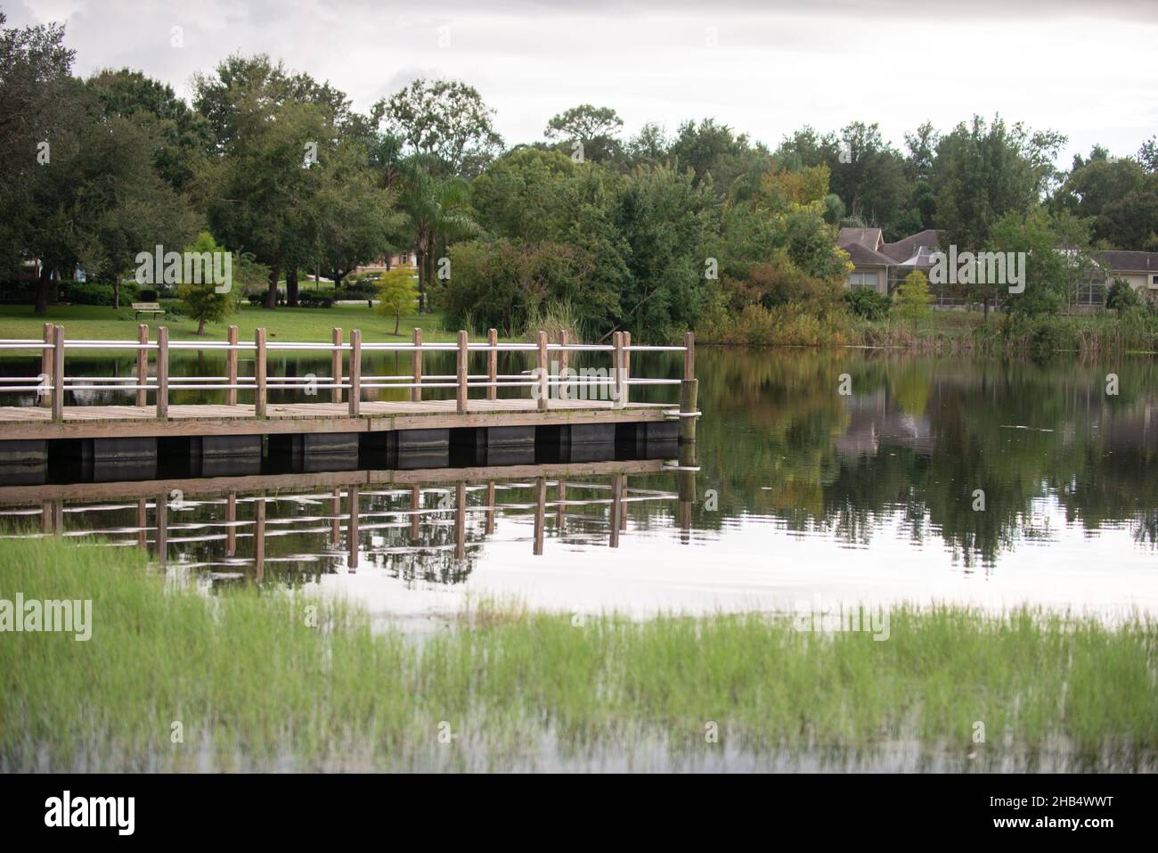 Wood dock in the middle of a pond in the park with reflection Stock Photo