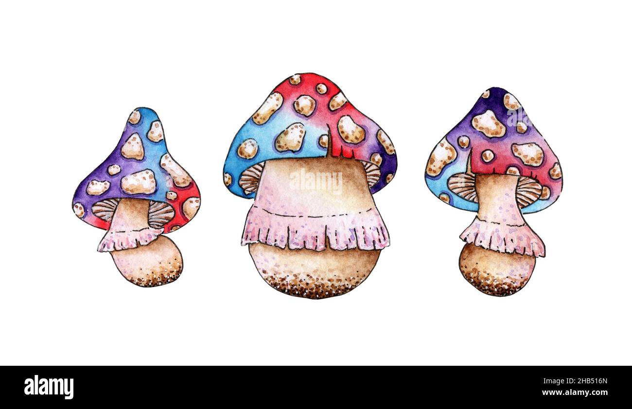 Watercolor painting set of fantasy colorful amanita mushrooms. Ideal for fabric printing, print, wallpaper and kids designs. Isolated on white backgro Stock Photo