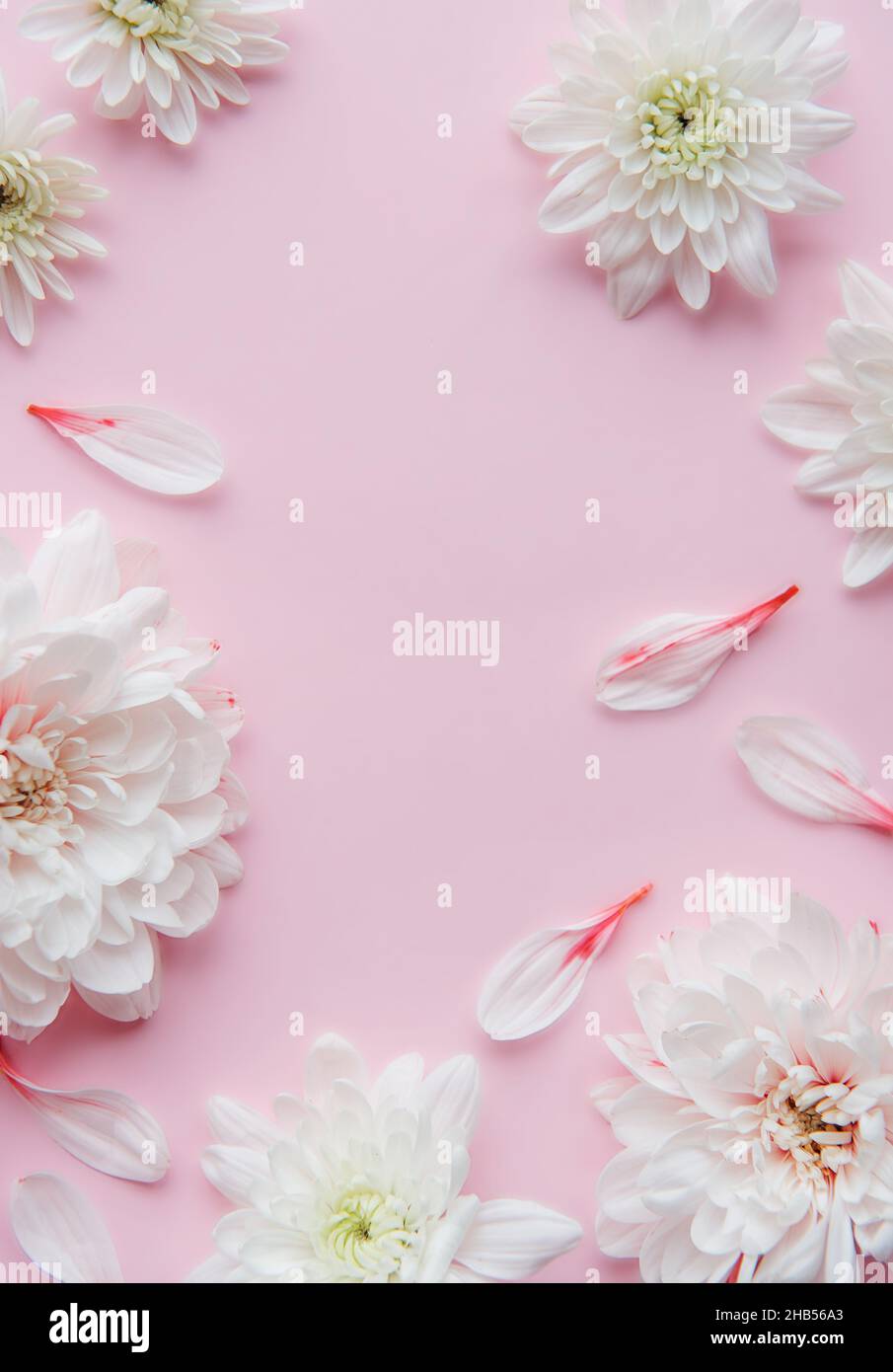 Frame made of flowers on pastel pink background Stock Photo - Alamy