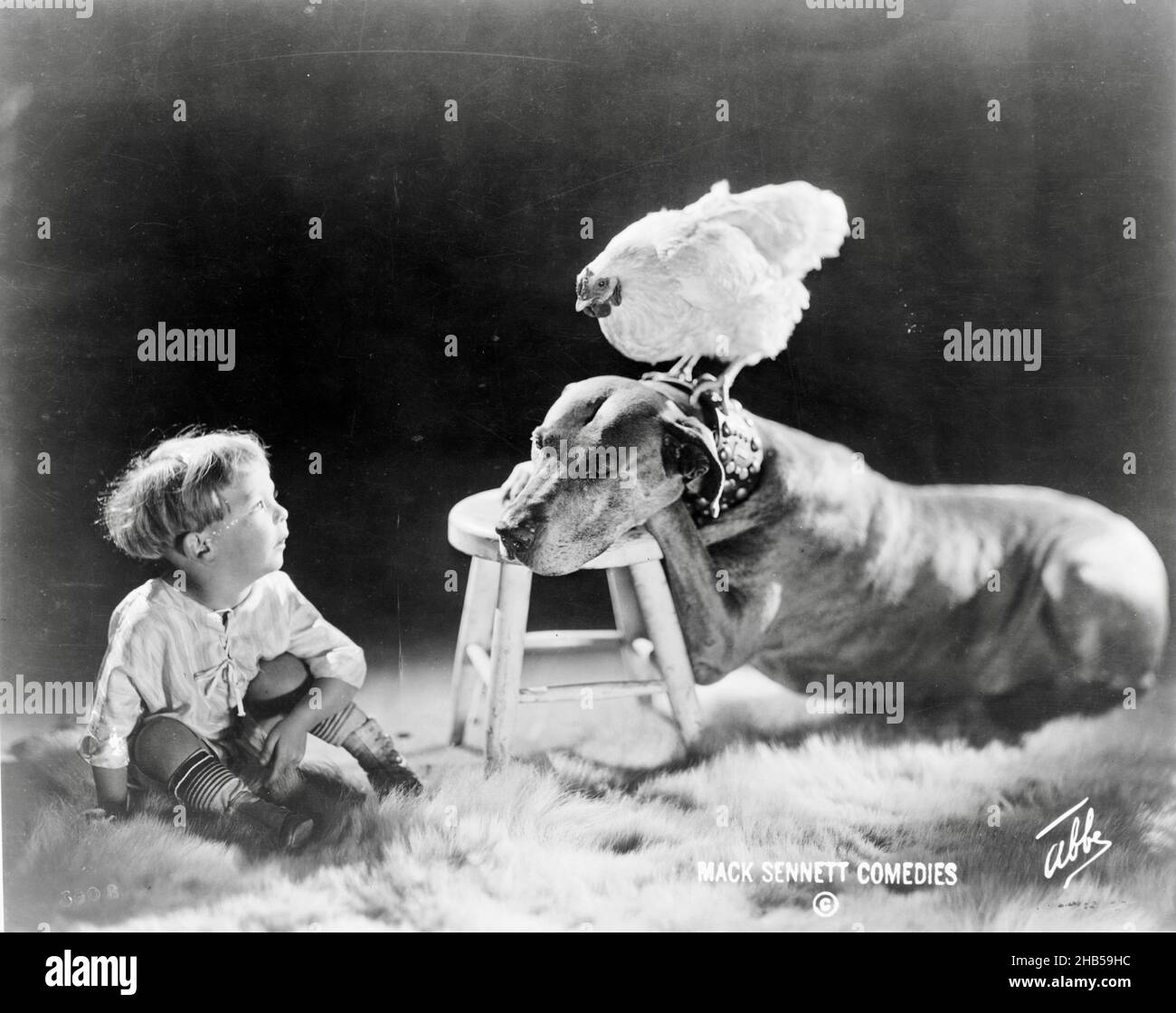 James Edward Abbe - Large dog resting front paws and head on footstool, chicken perched on dog's collar, small child seated on fur rug - 1920 Stock Photo