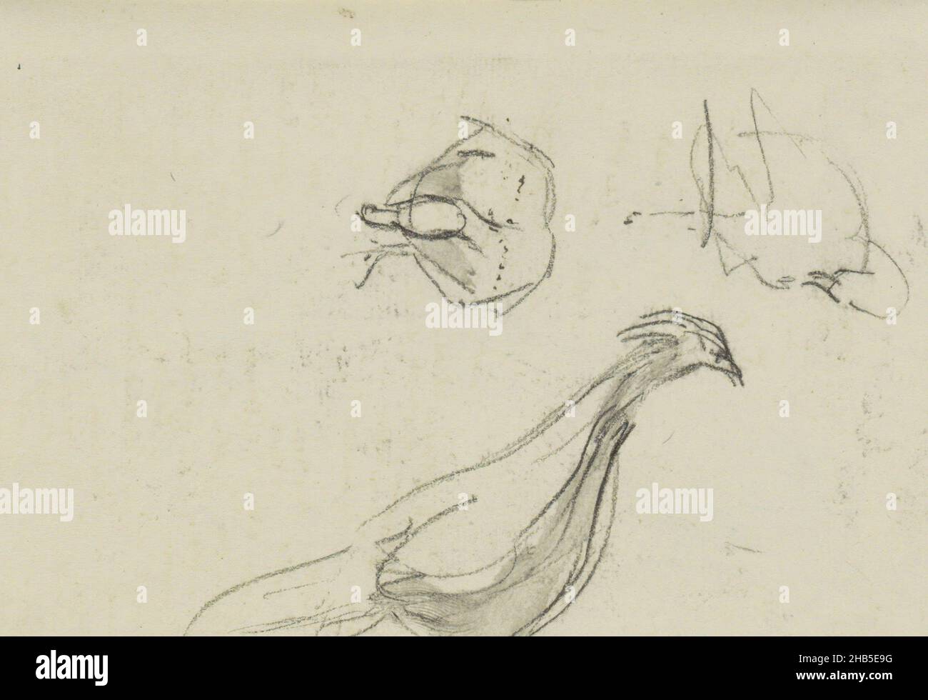 Among other two studies of a goose or duck. Page 79 from a sketchbook with 82 pages., Birds, draughtsman: Floris Arntzenius, The Hague, c. 1883 - c. 1914, Floris Arntzenius, c. 1883 - c. 1914 Stock Photo