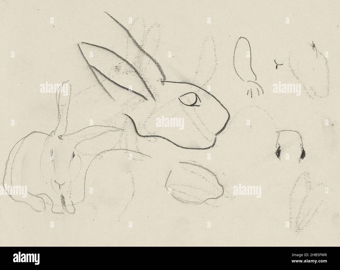 Rabbit lion head hi-res stock photography and images - Alamy