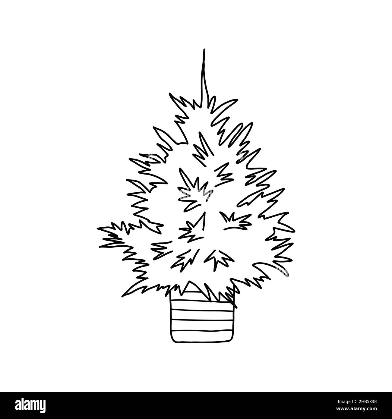 Christmas tree in a pot. Black and white vector isolated illustration