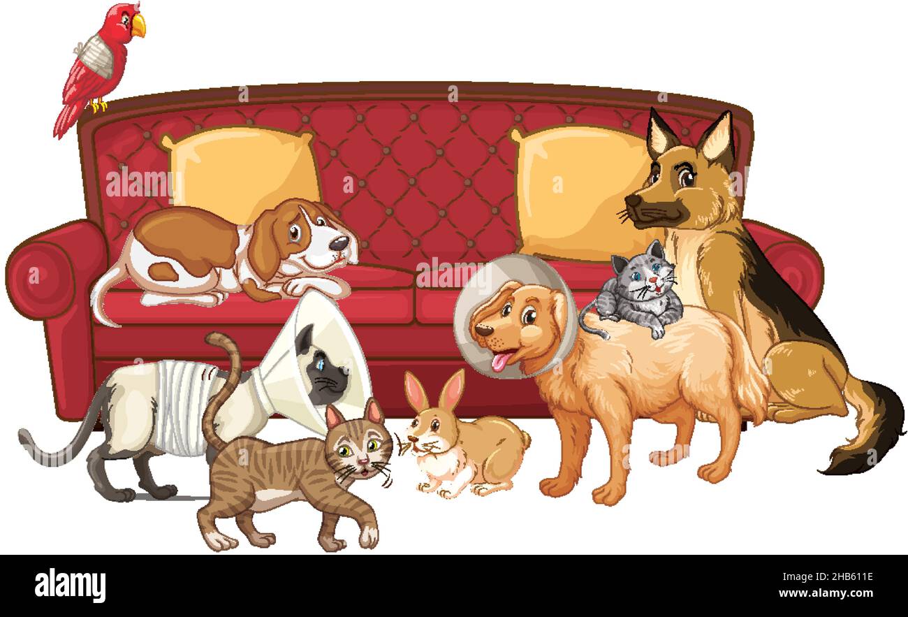Group of dog breeds on white background illustration Stock Vector