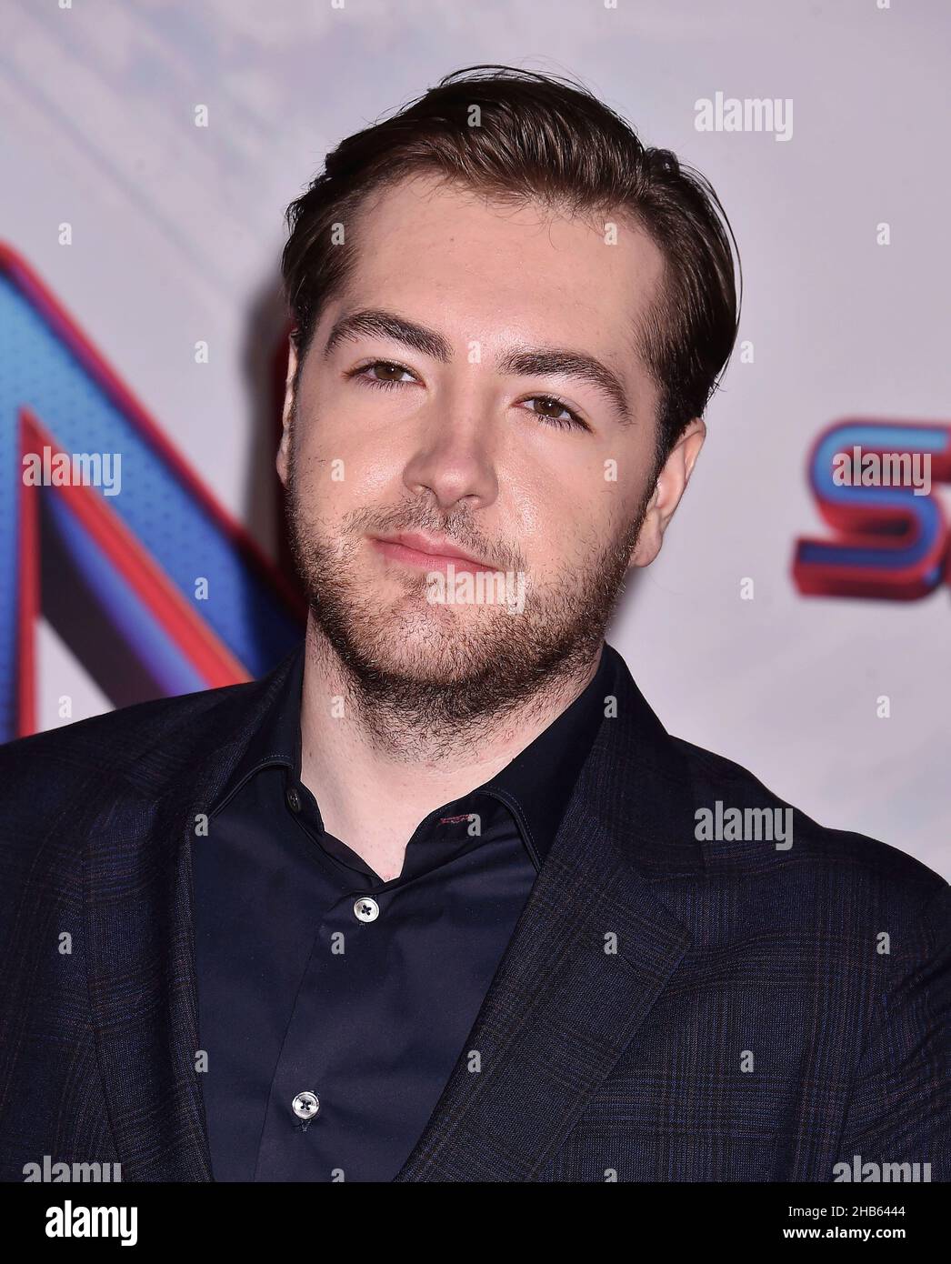 LOS ANGELES, CA - DECEMBER 13: Michael Gandolfini attends the Sony