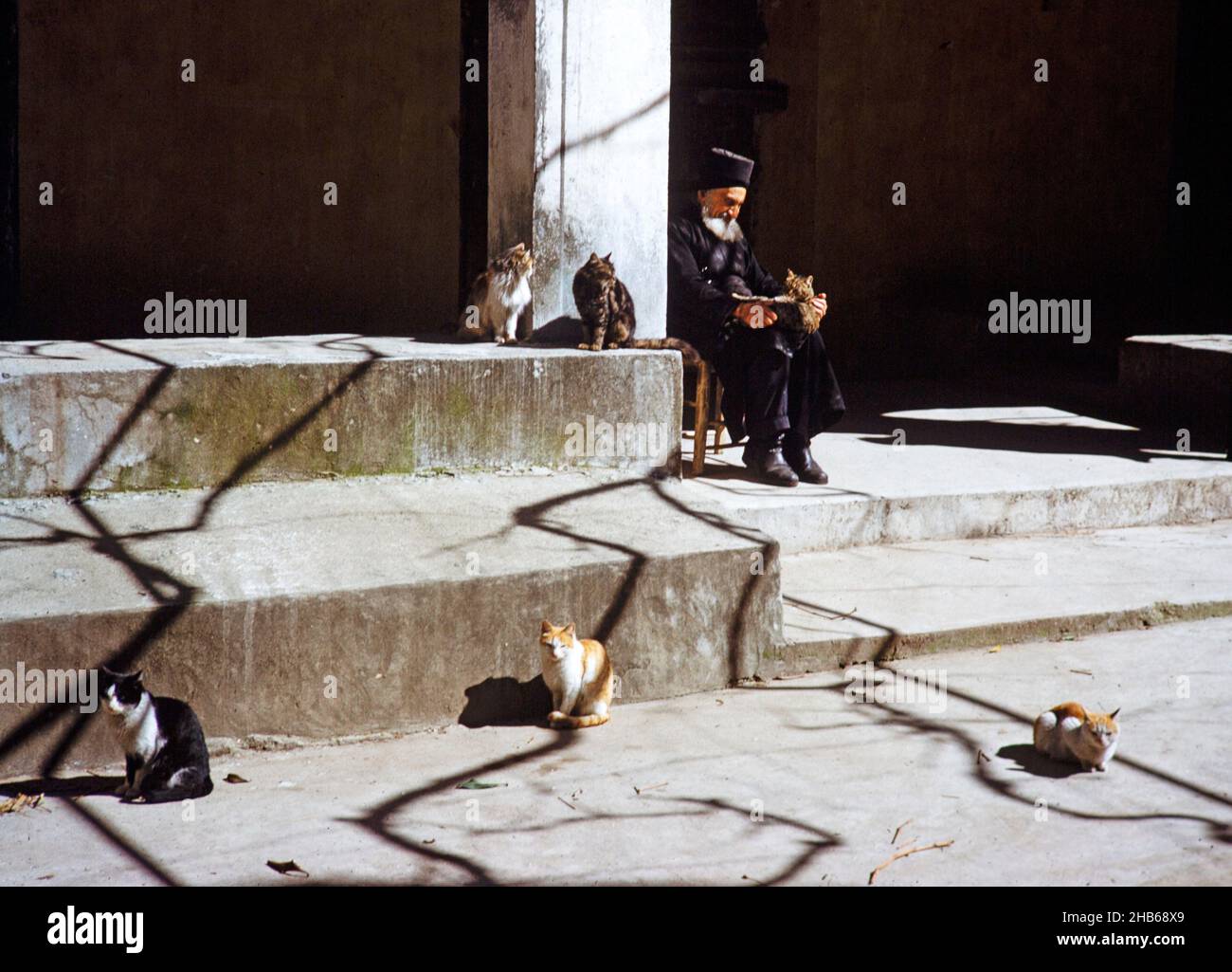 Older monk sitting outside with cats at Panagia Machairas Monastery, Lazanias, Cyprus, 1963 Stock Photo