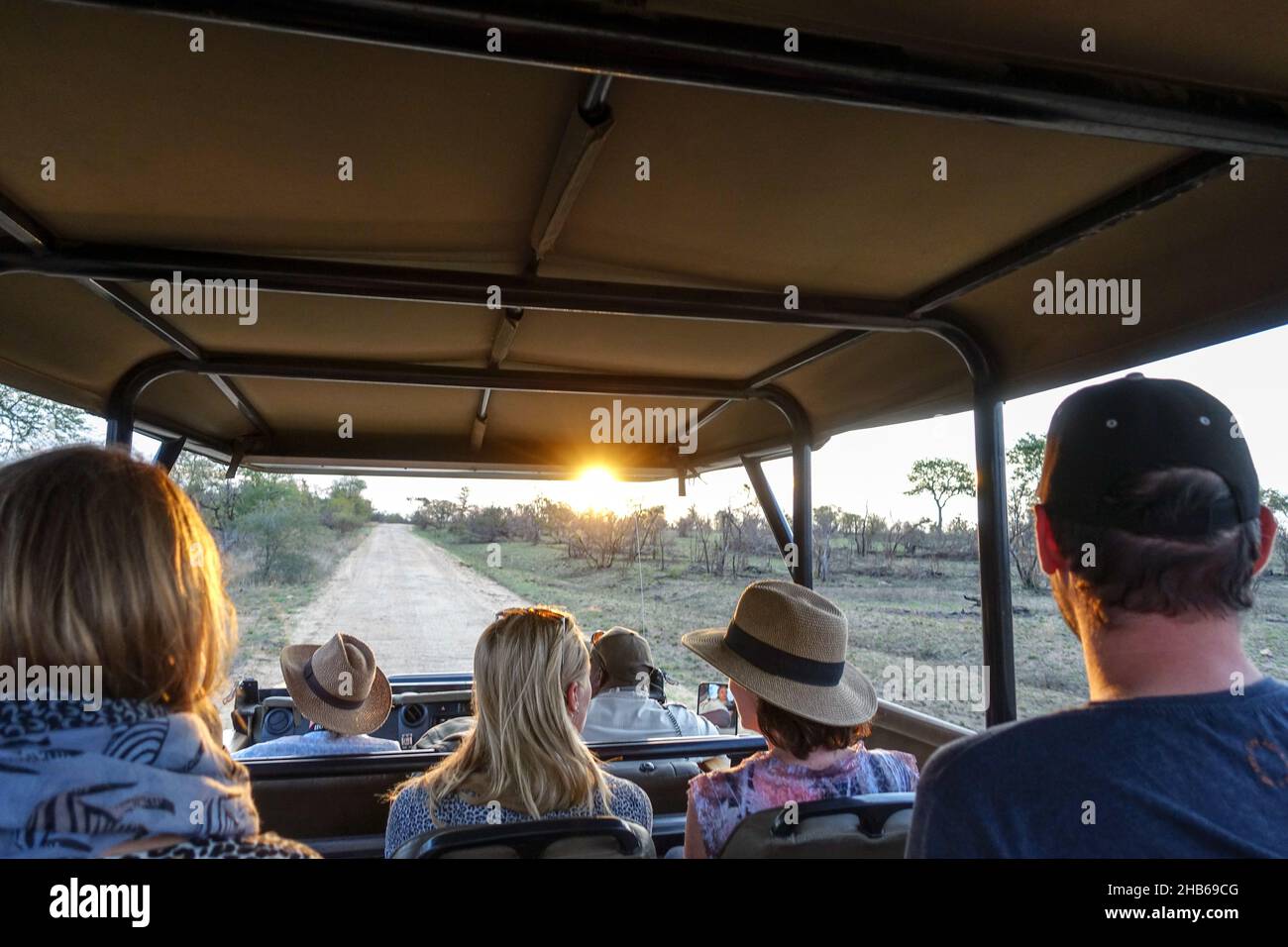 Game spotting by tourists on a game drive, safari trip, among the wildlife of Kruger National Park, South Africa Stock Photo