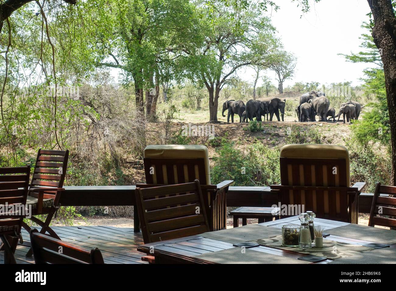 Luxury lodge table and elephants at a waterhole in the Kruger National Park, South Africa Stock Photo