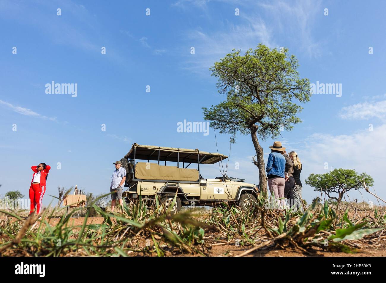 Tourists on a game drive, safari trip, among the wildlife of Kruger National Park, South Africa Stock Photo