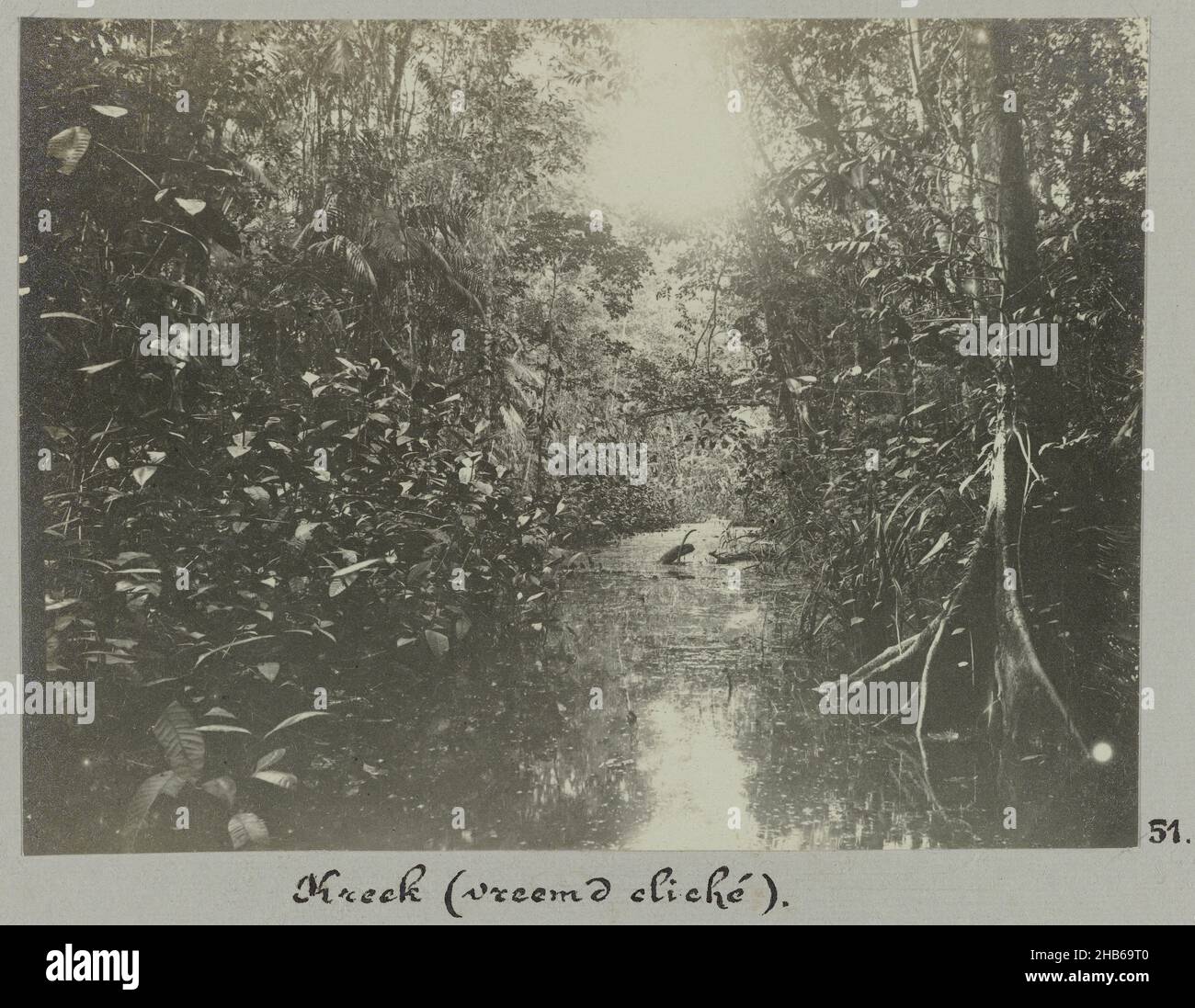 Creek (title on object), Creek in the jungle. Part of the photo album Souvenir de Voyage (part 2), about the life of the Doijer family in and around the plantation Ma Retraite in Suriname in the years 1906-1913., Hendrik Doijer (attributed to), Suriname, 1906 - 1913, photographic support, gelatin silver print, height 82 mm × width 111 mm Stock Photo