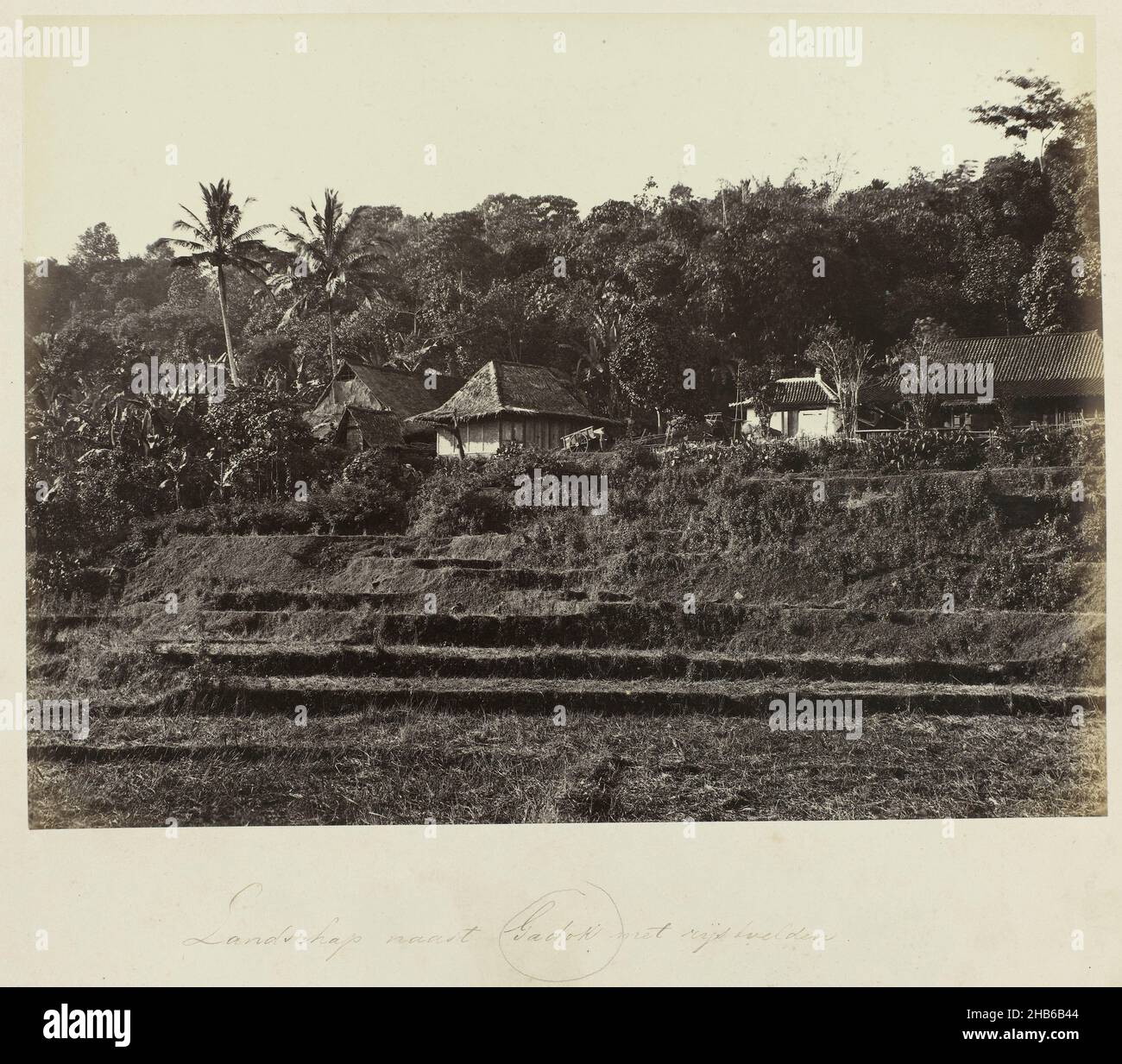 Landscape next to Gadok with rice fields (title on object), Sawa's near Gadog, in the vicinity of Buitenzorg. Part of the green photo album with photos of Java, in the possession of pharmacist Specht-Grijp, who returned from Batavia to the Netherlands in 1865., Woodbury & Page, Buitenzorg, 1863 - 1869, photographic support, albumen print, height 203 mm × width 271 mm Stock Photo