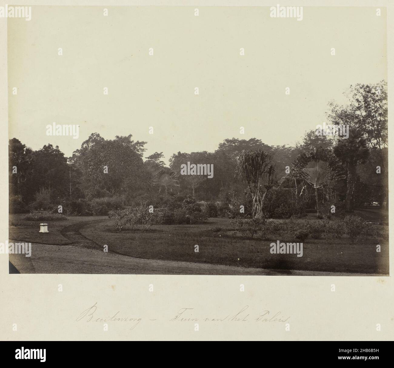 Buitenzorg - Garden of the Palace (title on object), View of the garden of the governor general's palace in Buitenzorg. Part of the green photo album with photos of Java, from the possession of pharmacist Specht-Grijp, who returned to the Netherlands from Batavia in 1865., Woodbury & Page, Buitenzorg, 1863 - 1869, photographic support, albumen print, height 190 mm × width 267 mm Stock Photo