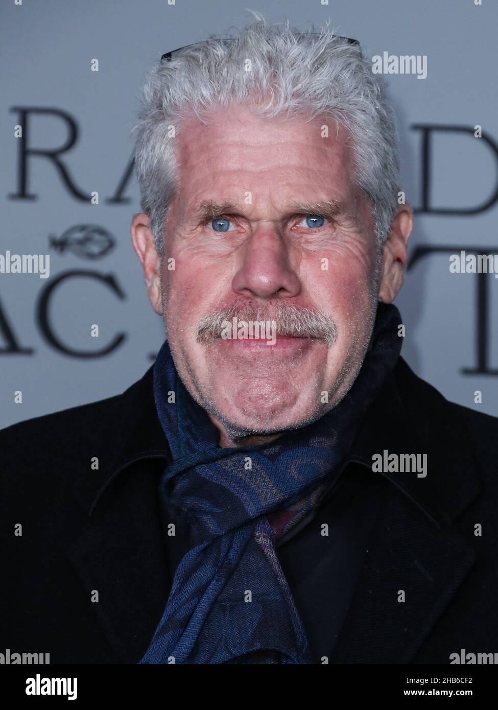 Los Angeles, USA. 16th Dec, 2021. LOS ANGELES, CALIFORNIA, USA - DECEMBER 16: American actor Ron Perlman arrives at the Los Angeles Premiere Of Apple Original Films' and A24's 'The Tragedy Of Macbeth' held at the Directors Guild of America Theater Complex on December 16, 2021 in Los Angeles, California, USA. (Photo by Xavier Collin/Image Press Agency/Sipa USA) Credit: Sipa USA/Alamy Live News Stock Photo