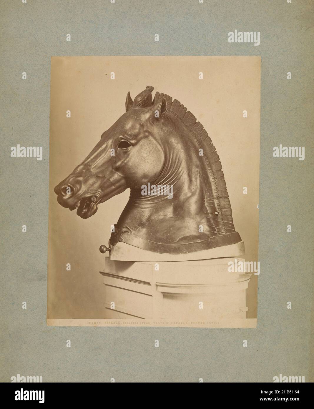 Testa di cavallo immagine muro con desiderio testo in elegante ruggine stalldeko Box Scudo cavalli-BOX 