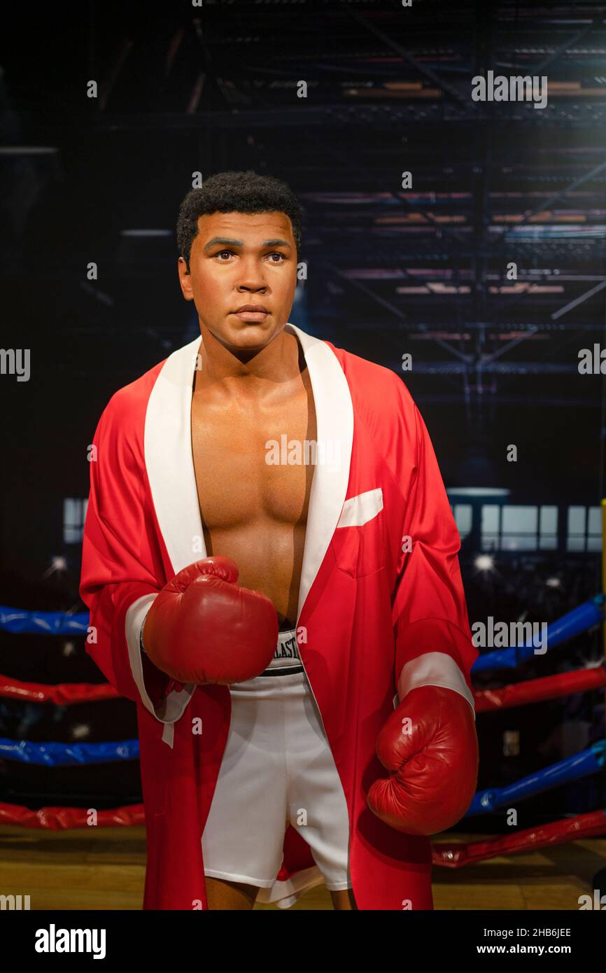 Boxing Club Mohamed Ali / Atelier Aconcept