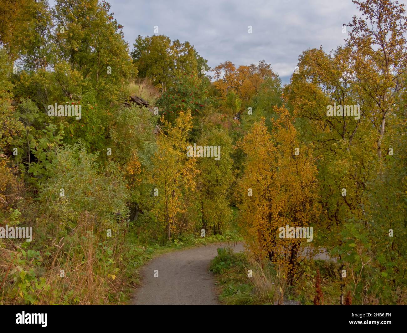 autumnal hiking trail, Norway, Troms, Tromsoe Stock Photo