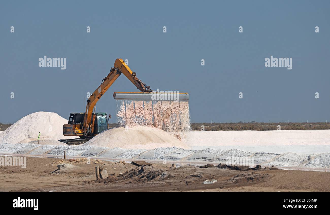 Bonanza Saltworks, harvesting salt with an excavator, Spain, Andalusia, Sanlucar de Barrameda Stock Photo