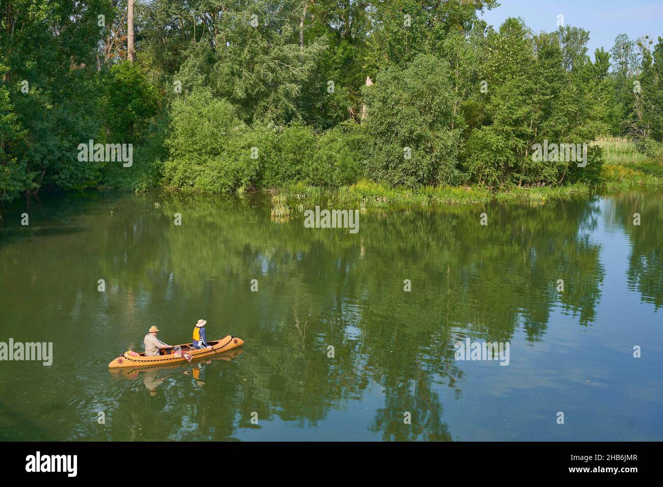 Canoe on the old waterbody of the Rhine with nature reserve Kuehkopf , Germany, Hesse, Riedstadt-Erfelden Stock Photo