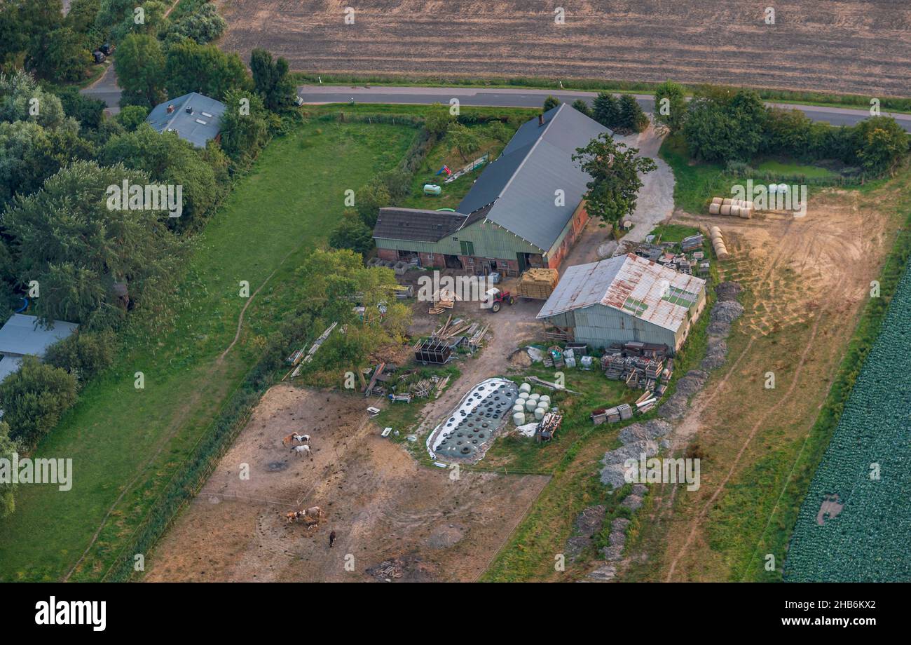 Small farmstead with horse keeping, aerial view, Germany, Schleswig-Holstein Stock Photo
