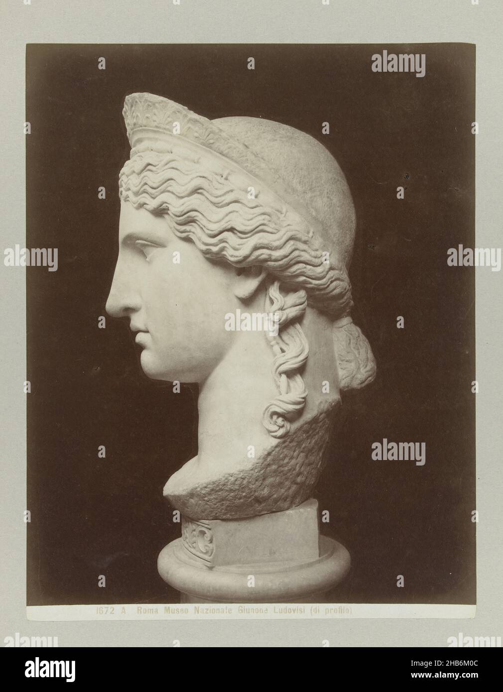 Bust of Giunone Ludovisi in profile1672 A Roma Museo Nazionale Giunone Ludovisi (di profilo) (title on object), anonymous, Rome, c. 1880 - c. 1904, paper, albumen print, height 258 mm × width 201 mmheight 327 mm × width 241 mm Stock Photo