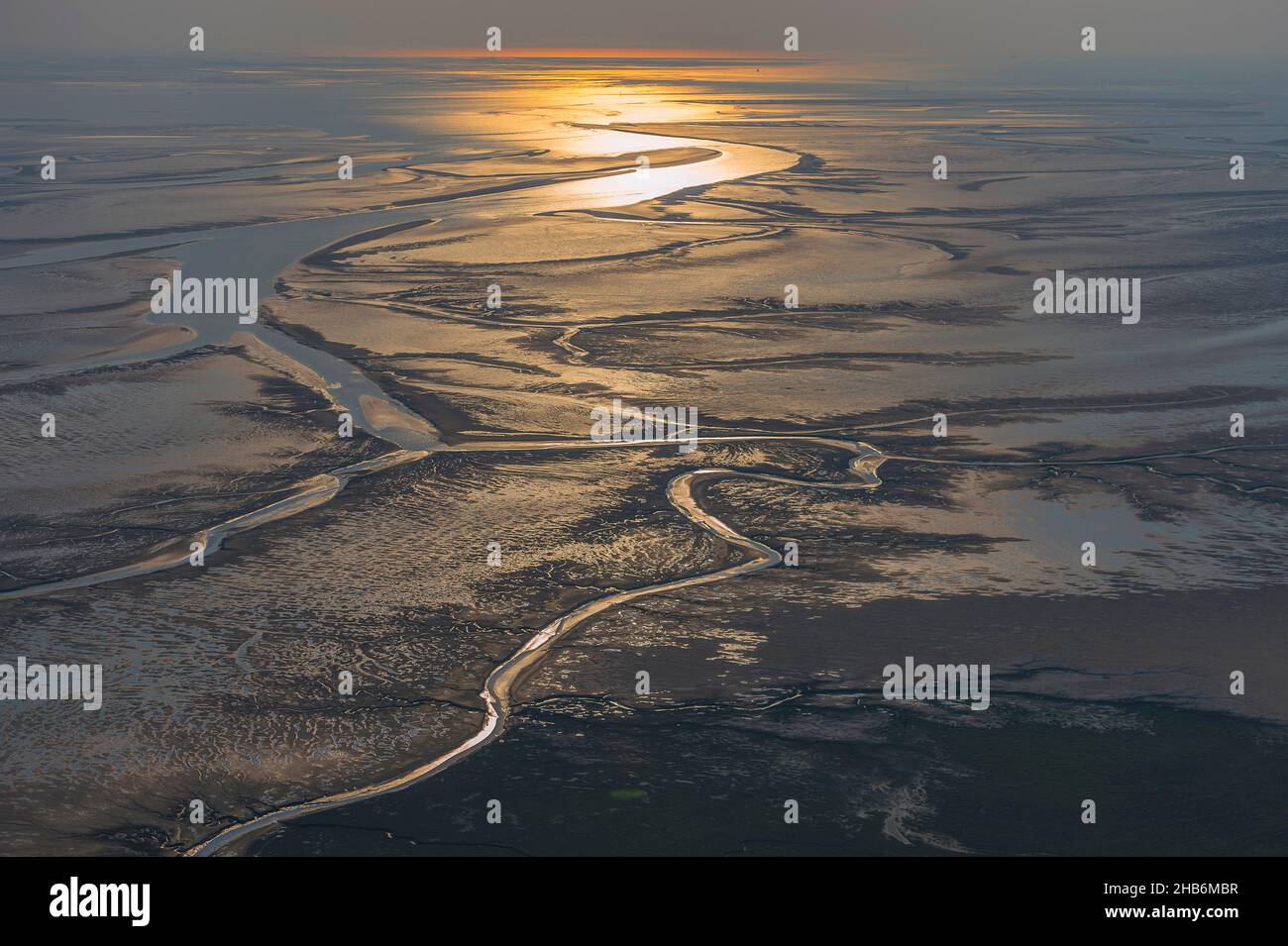 aerial view of the Elbe estuary at low water, Germany, Hamburgisches Wattenmeer National Park Stock Photo