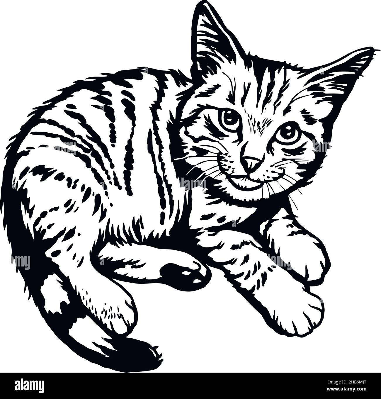Cat Peeking Kitten Cheerful Kitty Isolated On White Vector Stock cat-peeking-kitten-cheerful-kitty-isolated-on-white-vector-stock
