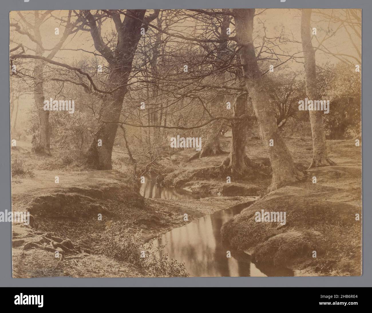 Trees on stream side hi res stock photography and images alamy