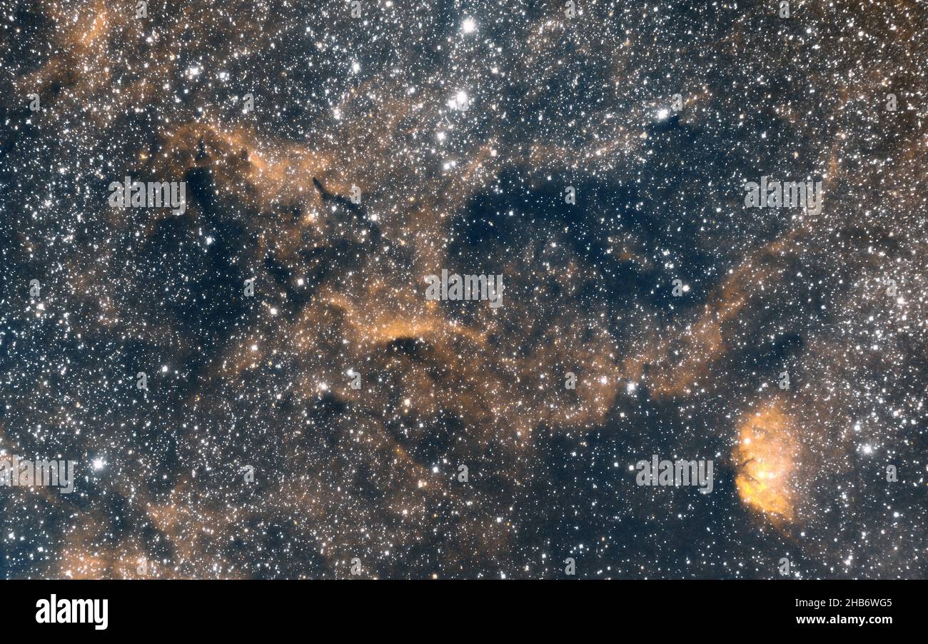 Tulip Nebula, Cygnus Stock Photo