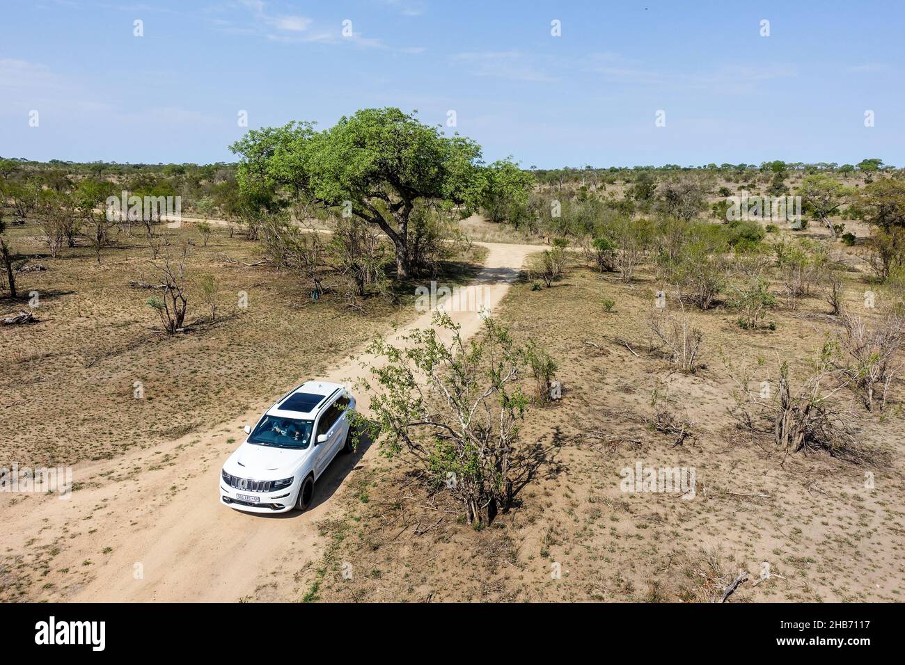 Vehicle driving in the Kruger National Park, South Africa Stock Photo