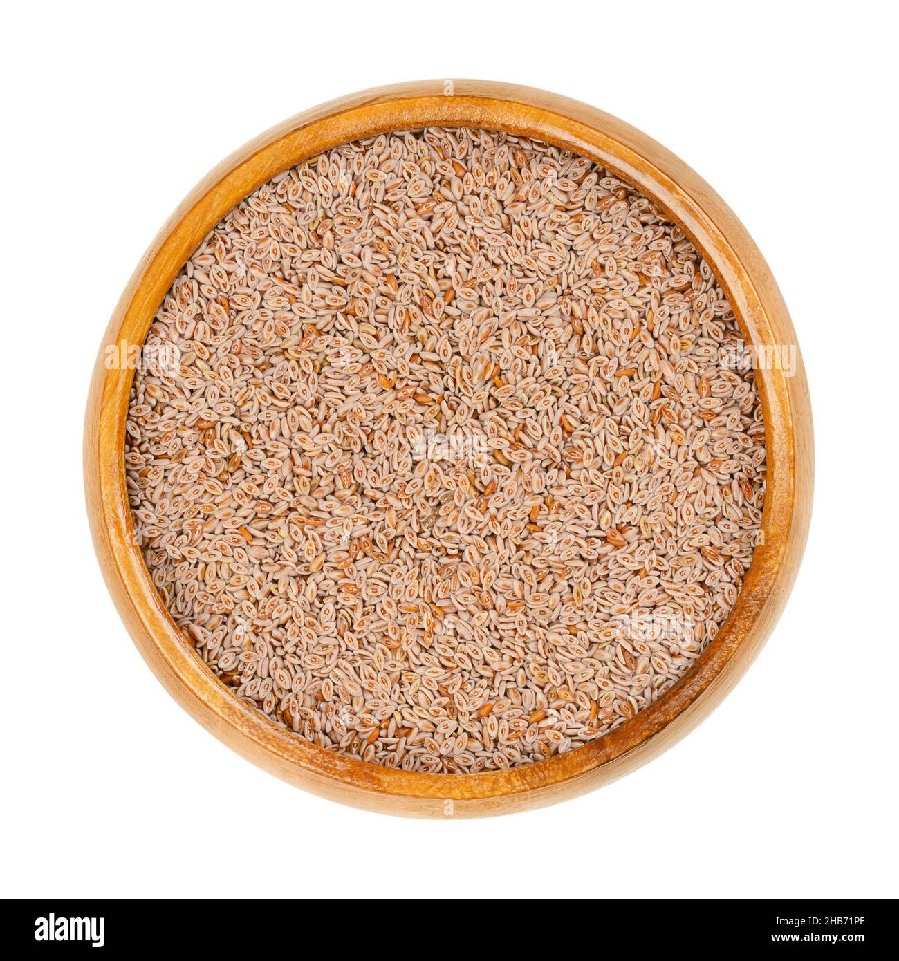Whole psyllium seeds, in a wooden bowl. Plantago ovata, known as blond plantain, desert Indianwheat, blond psyllium, and ispagol. Stock Photo