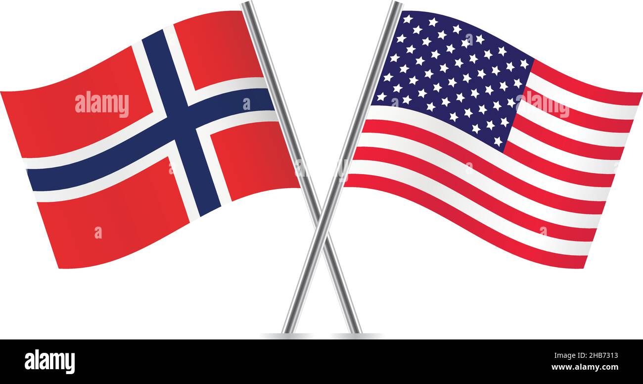 Norwegian American Flag