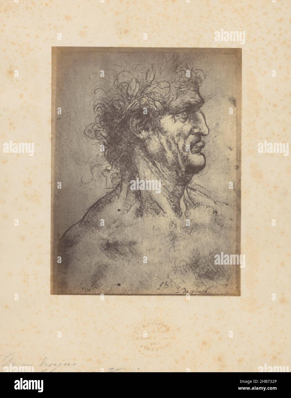 Photoreproduction of a drawing of a man's head by Leonardo da Vinci, Giovanni Brampton Philpot (mentioned on object), intermediary draughtsman: Leonardo da Vinci (mentioned on object), Florence, 1851 - 1878, paper, cardboard, albumen print, height 193 mm × width 148 mmheight 315 mm × width 245 mm Stock Photo