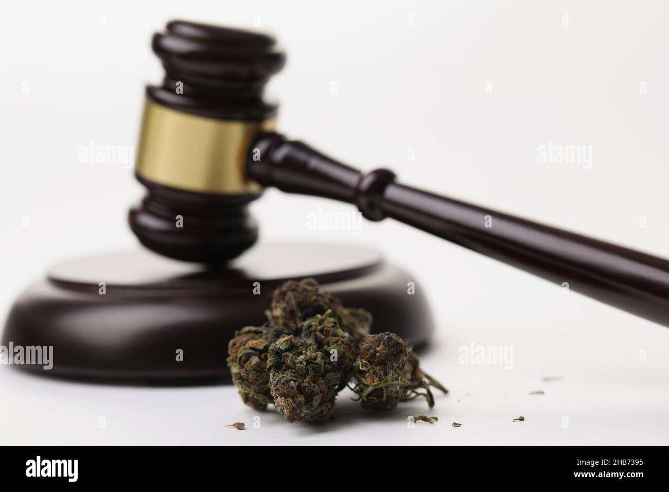 Cannabis herb buds and gavel as symbol of legalization of marijuana Stock Photo