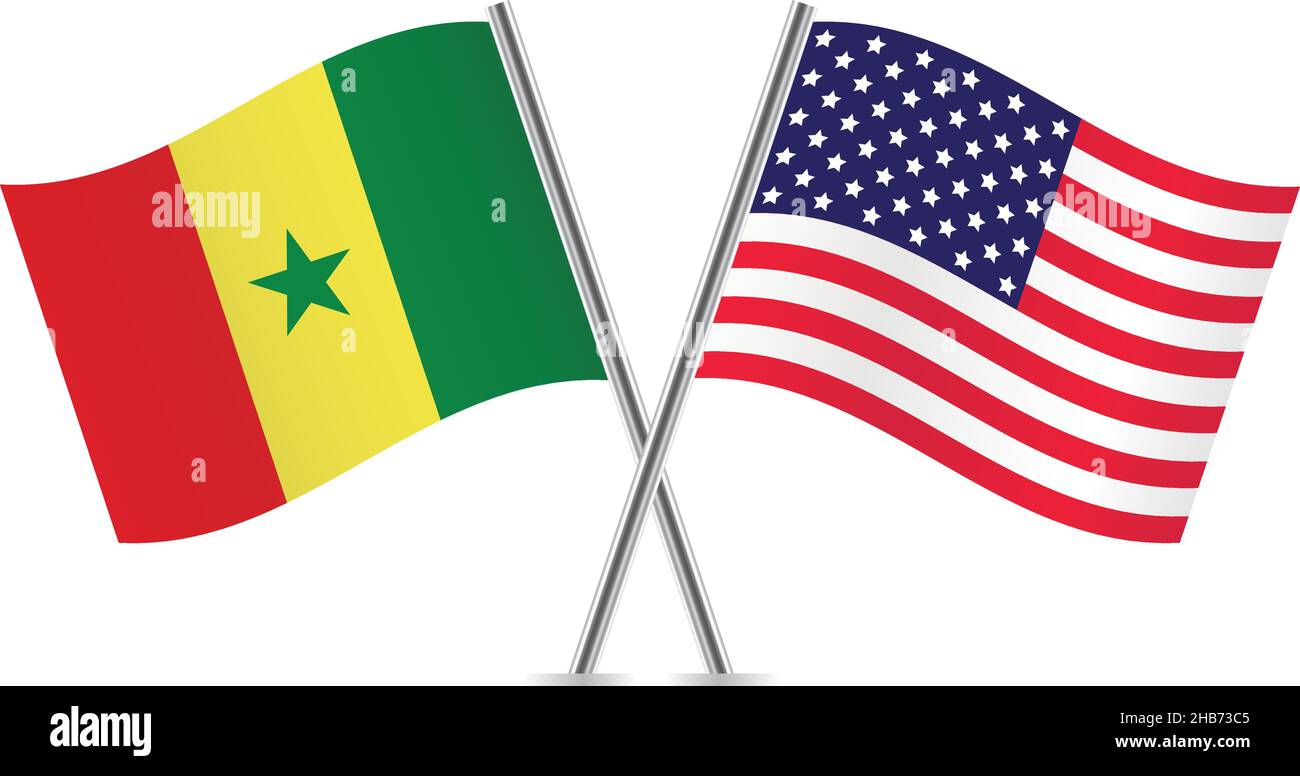 America and asenegal flags. Vector illustration Stock Vector