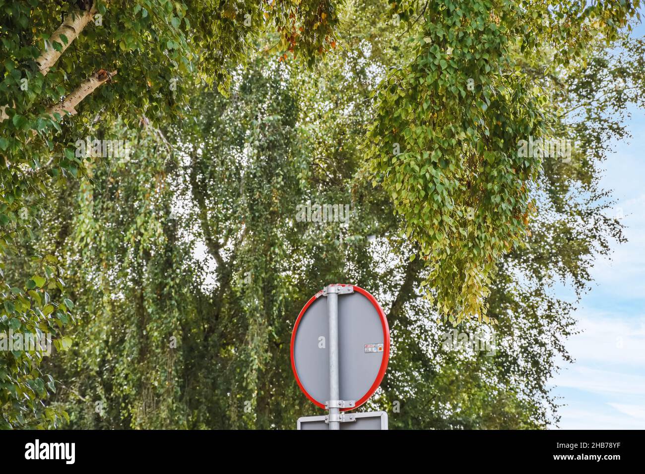 A refreshing view of the green tree branches and the back of the trembling sign Stock Photo