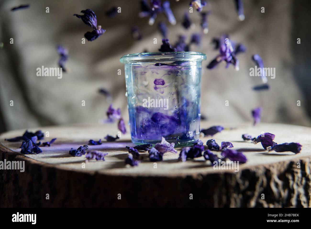 To dye with dry flower plant, mallow. Stock Photo