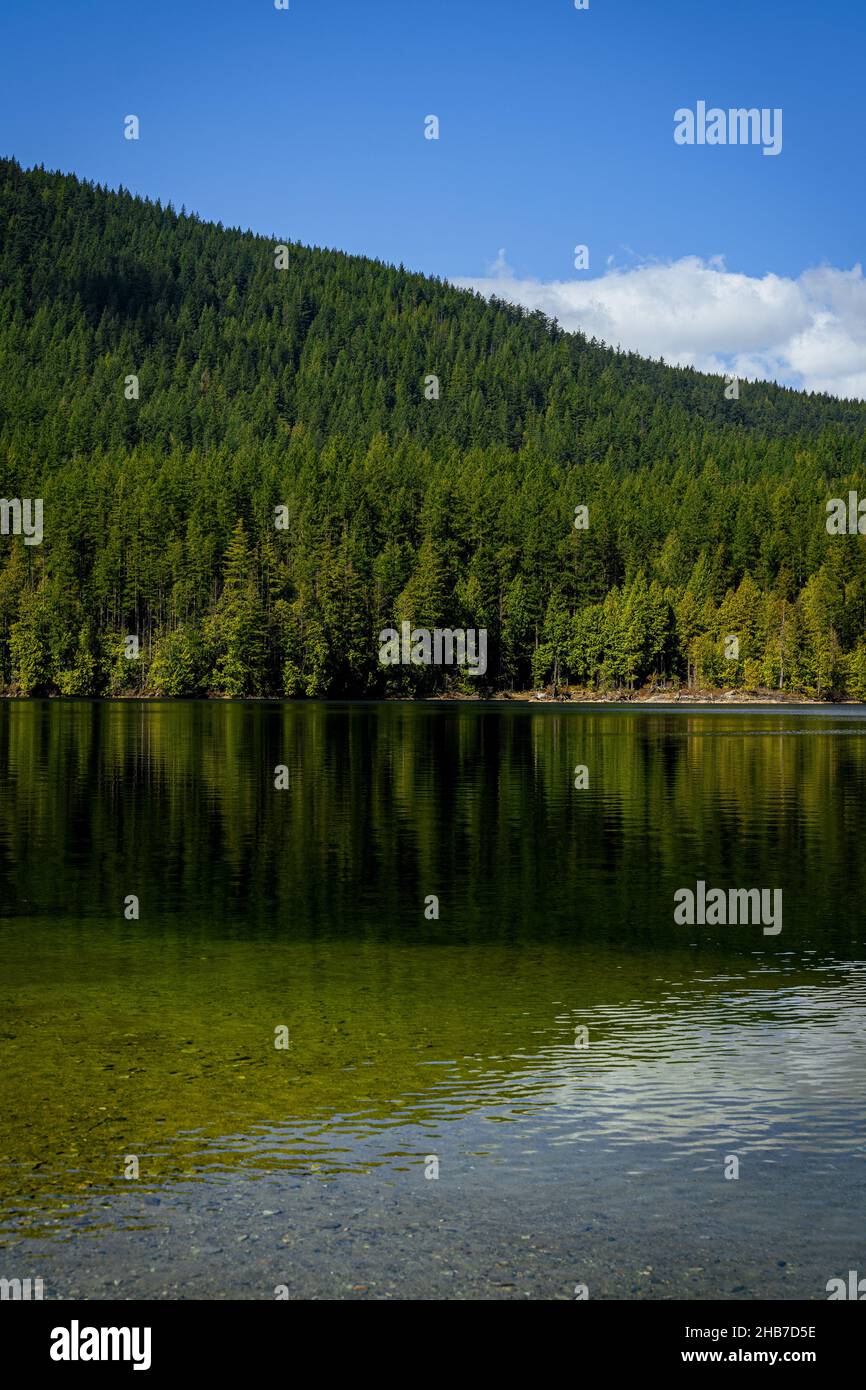 Vertical shot of a lake with trees in the background Stock Photo - Alamy