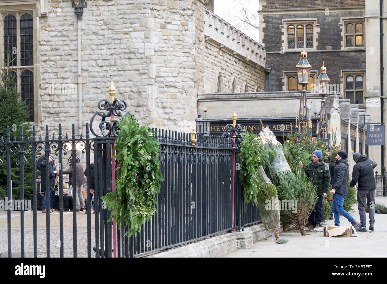 Christmas trees for sale by the fence at Westminster Abbey London