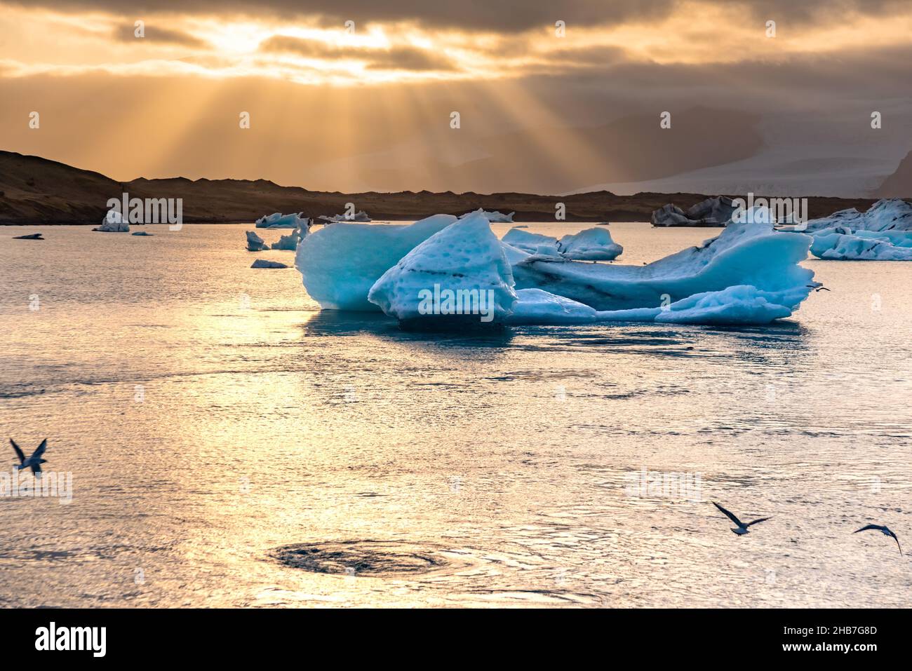 Ice Lagoon. Icebergs in Jokulsarlon glacier lagoon lake at sunset Iceland Stock Photo