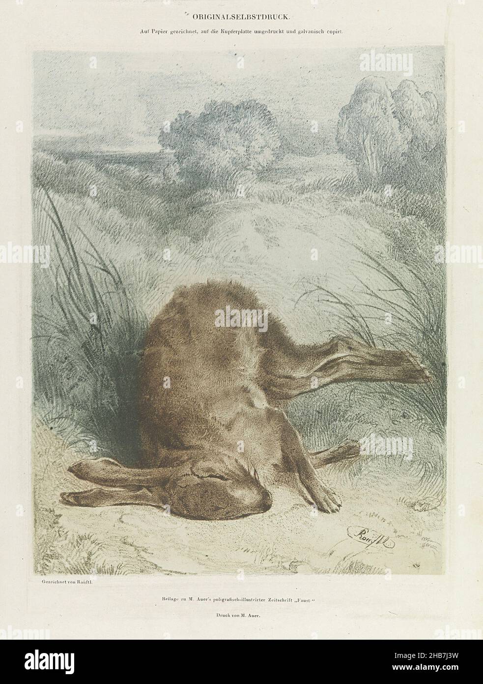 Dead hare in a field, Sheet from series of 16 Naturselbstdrucke Auer., anonymous, Alois Auer, (mentioned on object), 1855, paper, height 344 mm × width 242 mm Stock Photo