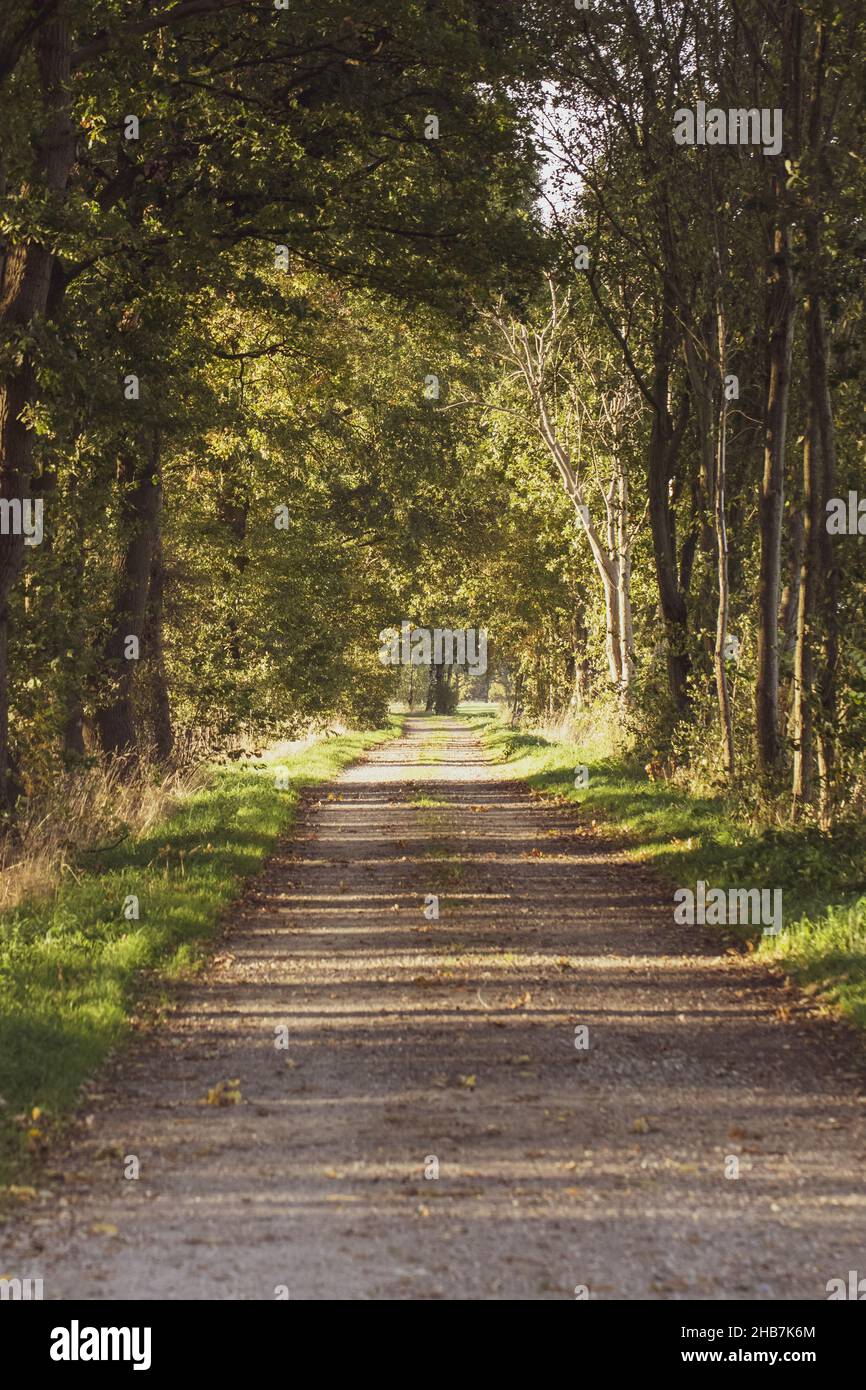 Shot alley in park hi-res stock photography and images - Alamy