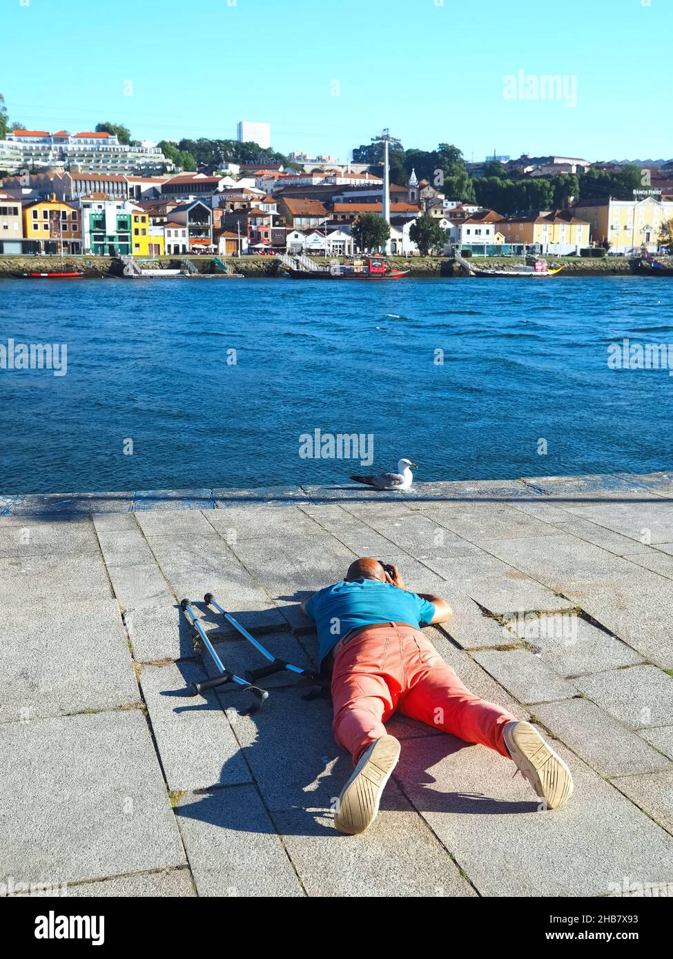 Photographer with a disability an crutches photographs a seagull in Porto Stock Photo