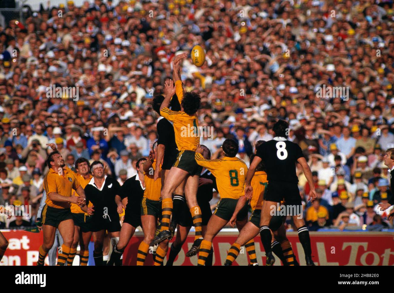 Rugby Union Football. New Zealand All Blacks against Australian Wallabies. Stock Photo